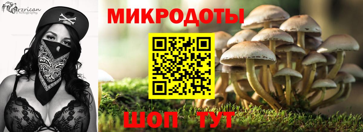 Галлюциногенные грибы мухоморы Сарапул